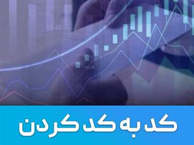 کد به کد کردن سهام یعنی چه؟ / دلایل کد به کد کردن سهام در بورس