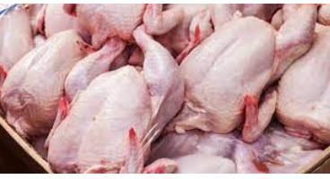 قیمت مرغ ۴۵ هزار تومان شد/سهمیه‌بندی مرغ در برخی استان‌ها/ وضعیت تولید وخیم است