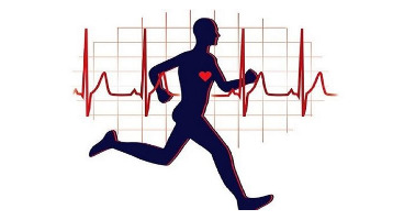 ٦ ورزش و فعالیت فوق العاده براى تقویت عملکرد قلب
