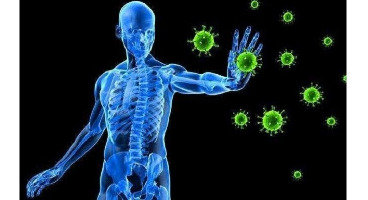 9 راهکاری که سیستم ایمنی بدن شما را در مقابل بیماری ها نفوذ ناپذیر خواهد کرد
