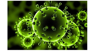 هشدار وزیر بهداشت: ممکن است در کشور شاهد جهش کرونا باشیم/ مهمترین اماکن برای جهش ویروس